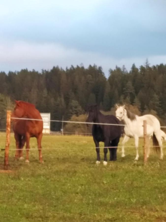 Vila Na Dziole Lipnica Wielka Exteriér fotografie