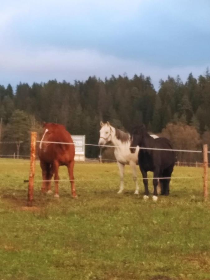 Vila Na Dziole Lipnica Wielka Exteriér fotografie