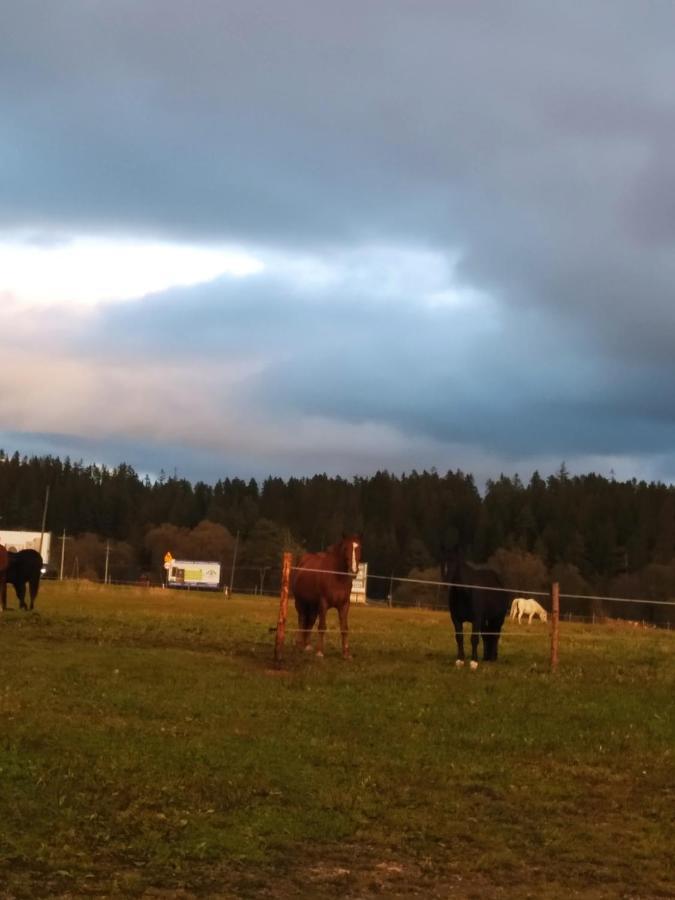 Vila Na Dziole Lipnica Wielka Exteriér fotografie